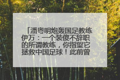 潘粤明炮轰国足教练伊万：一个装傻不辞职的所谓教练，你指望它拯救中国足球！此前曾多次发文评价国足