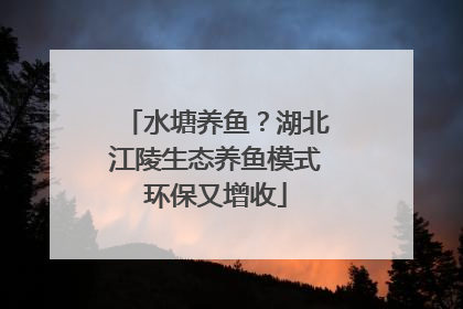 水塘养鱼？湖北江陵生态养鱼模式环保又增收