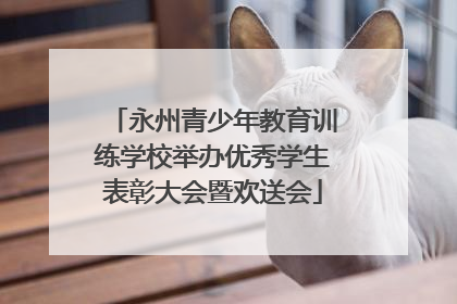 永州青少年教育训练学校举办优秀学生表彰大会暨欢送会