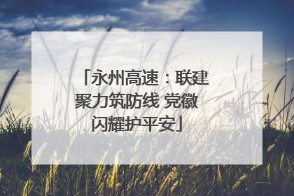 永州高速：联建聚力筑防线 党徽闪耀护平安