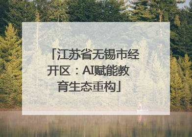 江苏省无锡市经开区：AI赋能教育生态重构
