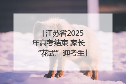 江苏省2025年高考结束 家长“花式”迎考生