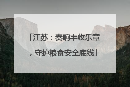 江苏：奏响丰收乐章，守护粮食安全底线