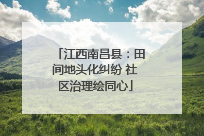 江西南昌县：田间地头化纠纷 社区治理绘同心