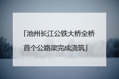 池州长江公铁大桥全桥首个公路梁完成浇筑