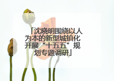 沈晓明围绕以人为本的新型城镇化开展“十五五”规划专题调研