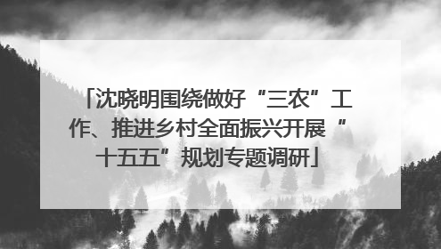 沈晓明围绕做好“三农”工作、推进乡村全面振兴开展“十五五”规划专题调研