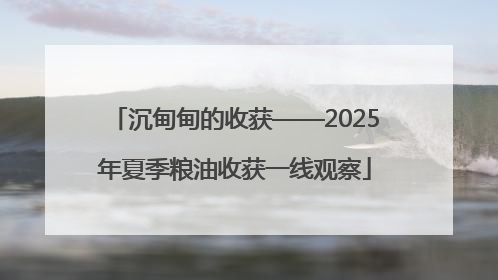沉甸甸的收获——2025年夏季粮油收获一线观察