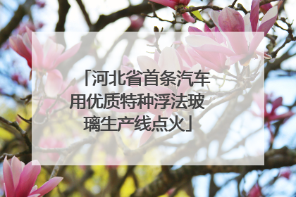 河北省首条汽车用优质特种浮法玻璃生产线点火