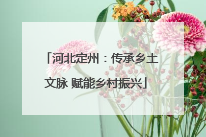 河北定州：传承乡土文脉 赋能乡村振兴