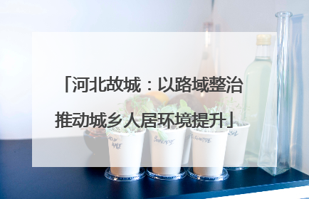 河北故城：以路域整治推动城乡人居环境提升