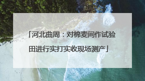 河北曲周：对棉麦间作试验田进行实打实收现场测产