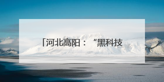 河北高阳：“黑科技”赋能夏种 跑出农业生产“加速度”