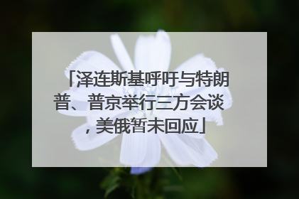 泽连斯基呼吁与特朗普、普京举行三方会谈，美俄暂未回应