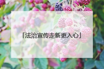 法治宣传走新更入心
