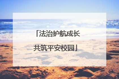 法治护航成长 共筑平安校园