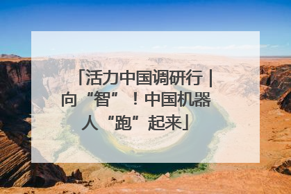 活力中国调研行｜向“智”！中国机器人“跑”起来