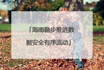 海南稳步推进数据安全有序流动