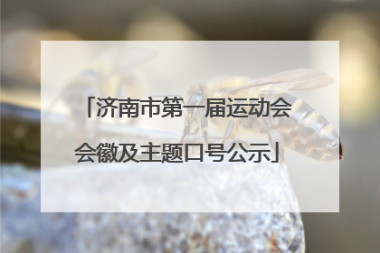 济南市第一届运动会会徽及主题口号公示