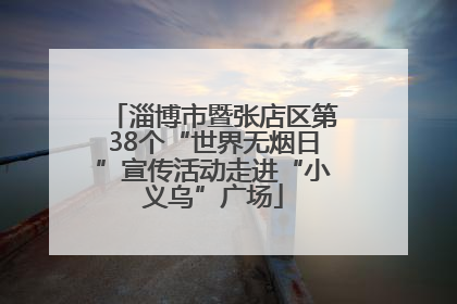 淄博市暨张店区第38个“世界无烟日”宣传活动走进“小义乌”广场