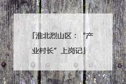 淮北烈山区：“产业村长”上岗记