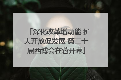深化改革增动能 扩大开放促发展 第二十届西博会在蓉开幕