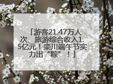 游客21.47万人次、旅游综合收入1.5亿元!栾川端午节实力出“粽”!