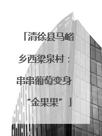 清徐县马峪乡西梁泉村：串串葡萄变身“金果果”