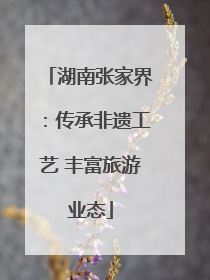 湖南张家界：传承非遗工艺 丰富旅游业态