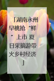 湖南永州早桃抢“鲜”上市 夏日采摘游带火乡村经济