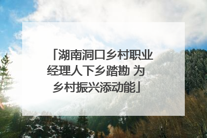 湖南洞口乡村职业经理人下乡踏勘 为乡村振兴添动能