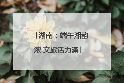 湖南：端午湘韵浓 文旅活力涌