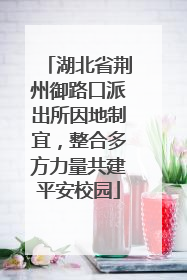 湖北省荆州御路口派出所因地制宜，整合多方力量共建平安校园