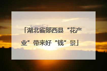 湖北省郧西县“花产业”带来好“钱”景