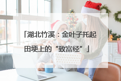 湖北竹溪：金叶子托起田埂上的“致富经”