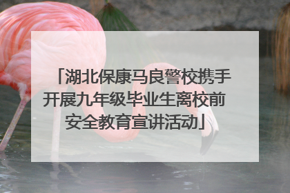 湖北保康马良警校携手开展九年级毕业生离校前安全教育宣讲活动