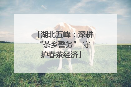 湖北五峰：深耕“茶乡警务” 守护春茶经济