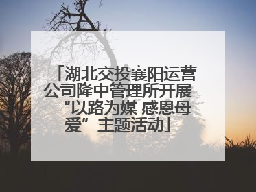 湖北交投襄阳运营公司隆中管理所开展“以路为媒 感恩母爱”主题活动