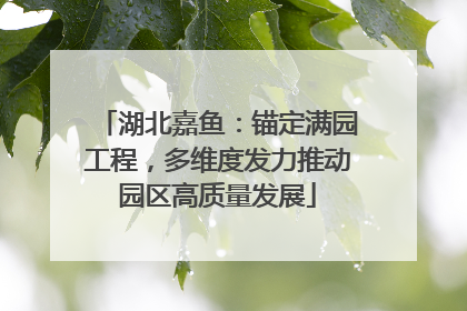湖北嘉鱼：锚定满园工程，多维度发力推动园区高质量发展