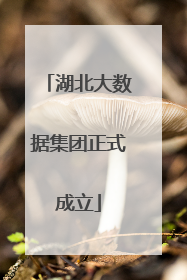 湖北大数据集团正式成立