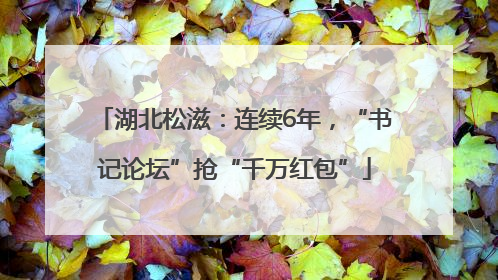 湖北松滋：连续6年，“书记论坛”抢“千万红包”