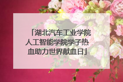 湖北汽车工业学院人工智能学院学子热血助力世界献血日