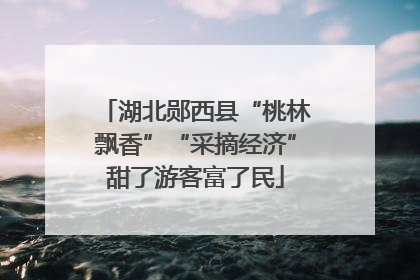 湖北郧西县“桃林飘香”“采摘经济”甜了游客富了民