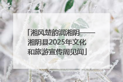 湘风楚韵润湘阴——湘阴县2025年文化和旅游宣传周见闻