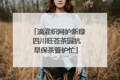 滴灌织网护新绿 四川旺苍茶园抗旱保茶管护忙