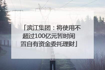 滨江集团：将使用不超过100亿元暂时闲置自有资金委托理财