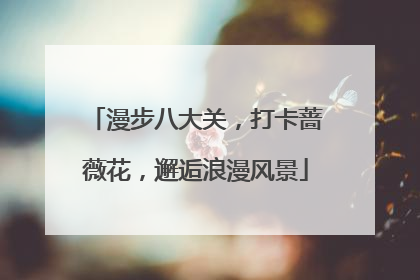 漫步八大关，打卡蔷薇花，邂逅浪漫风景
