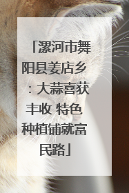 漯河市舞阳县姜店乡：大蒜喜获丰收 特色种植铺就富民路