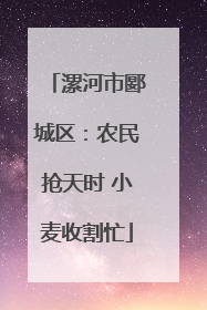 漯河市郾城区：农民抢天时 小麦收割忙