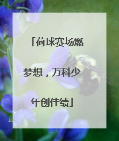 荷球赛场燃梦想，万科少年创佳绩